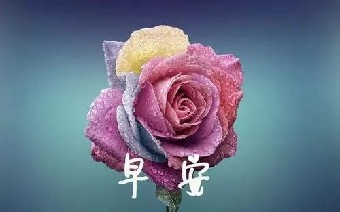 新加入人才库评估的结束代表着系统化人才培......《人才培养这样做才有效》摘录
